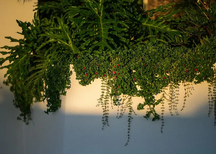 Estefania Boutique 4*