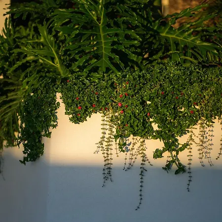 Estefania Boutique 4*